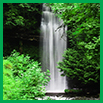Environment and Health