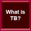 What is TB?