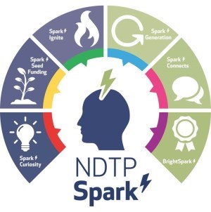 NDPD Spark Logo 2019 NDPD Spark Logo 2019