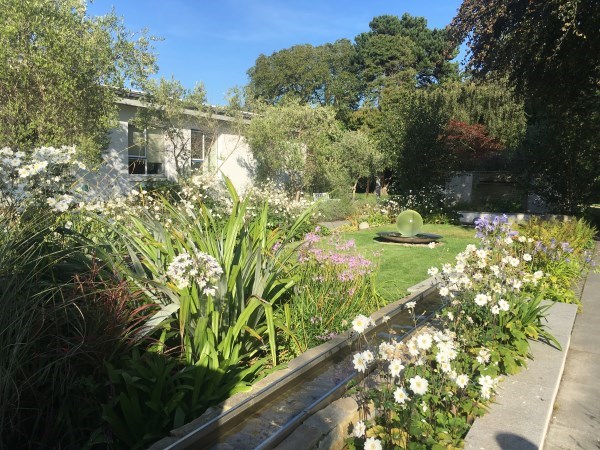 Donal Hollywood garden St Lukes Donal Hollywood garden St Lukes
