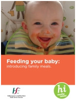 fisher price booster seat target