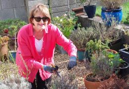 Mary Kennedy in a garden. She is wearing apink shirt and sunglasses and is using a secateurs to trim a plant. 