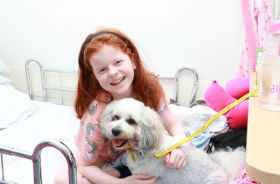 A young girl sitting on a hospital bed with a small dog on her lap.