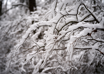 ice weather 350 x 250
