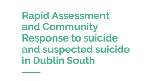 Dublin South Rapid Assessment Report_Cover2